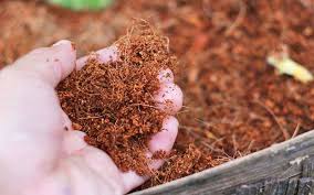 Coir Dust